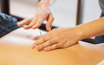 What Actually Happens Inside Your Body During Dry Needling?